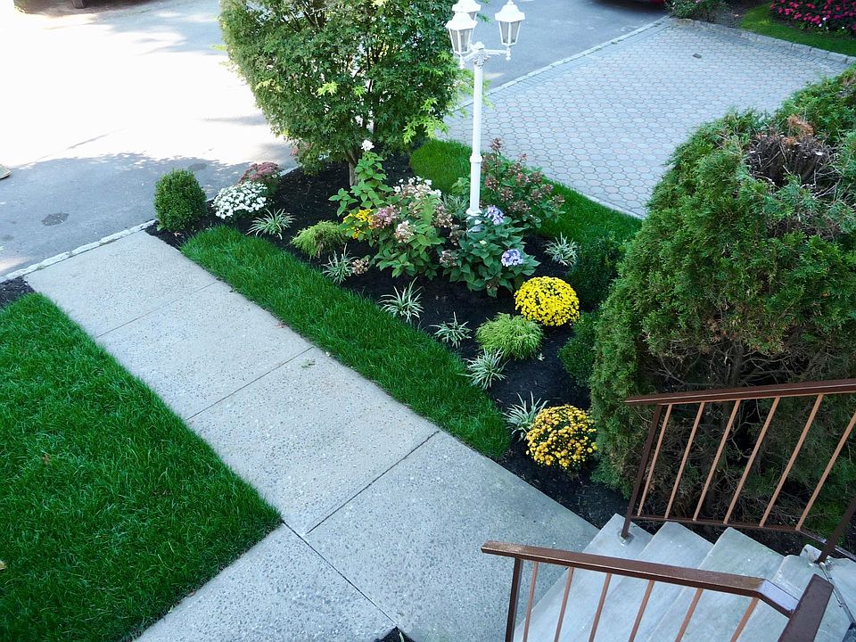 Front yard