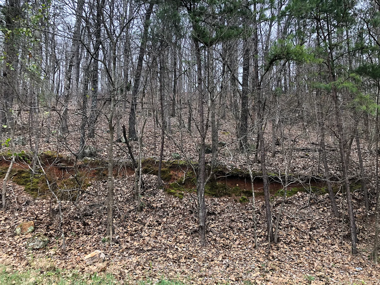 24 Greenwood Dr photo 1