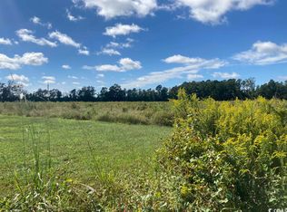 Tbd Highway 261, Hemingway, SC 29554