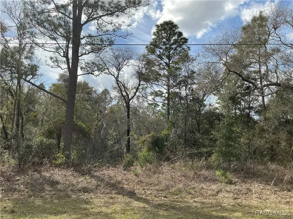 8824 N Trojan Dr, Citrus Springs, FL 34433