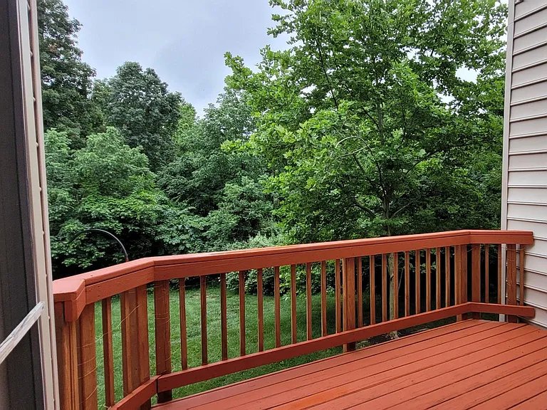 5344 Blue Aster Cir — Photo 38