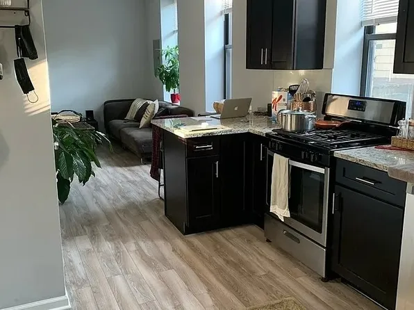 1420 W Blackhawk St APT 2M, Chicago, IL 60642