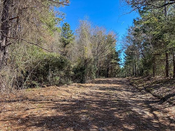 3rd image of 1 Lyons Cemetery Rd