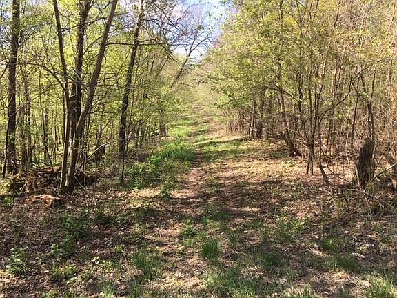 5th image of Cortland Ln