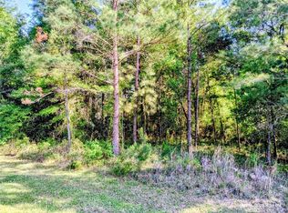 NW 142nd St Lot 10, Williston, FL 32696