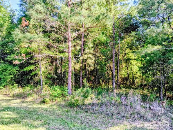 NW 142nd St Lot 10, Williston, FL 32696