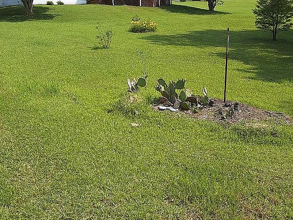3rd image of 223 Lakeside Dr