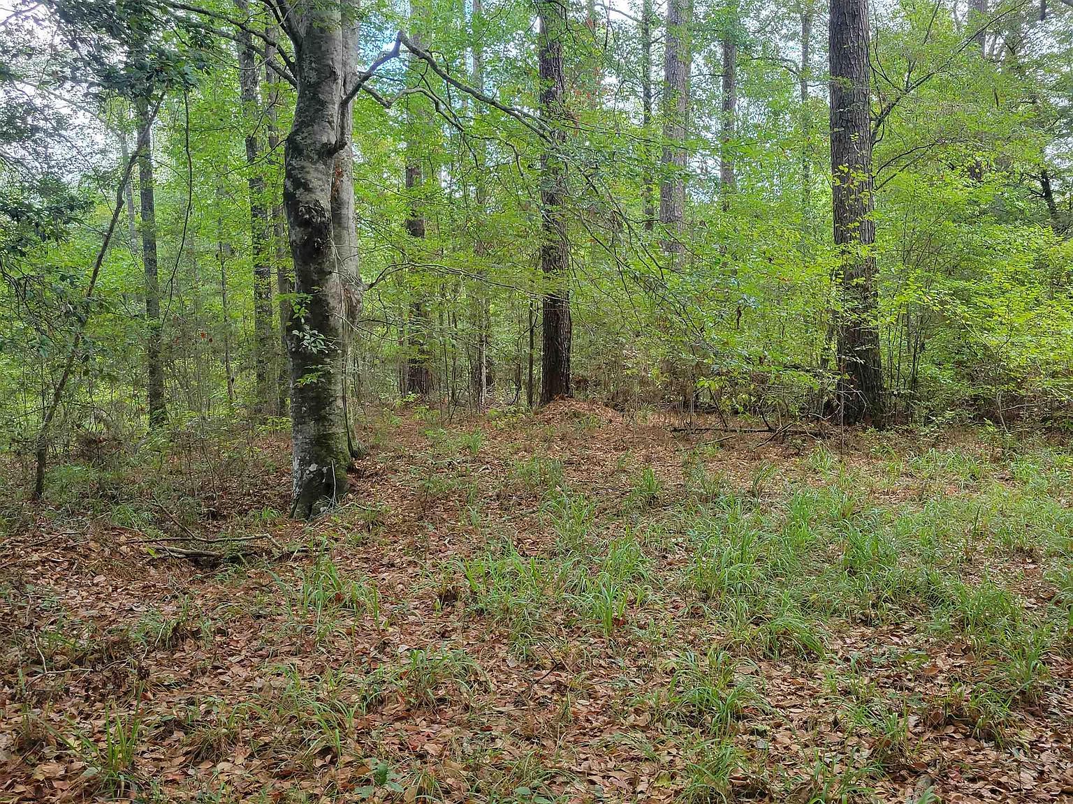 State Highway 967 St LOT 2B, Saint Francisville, LA 70775 Zillow