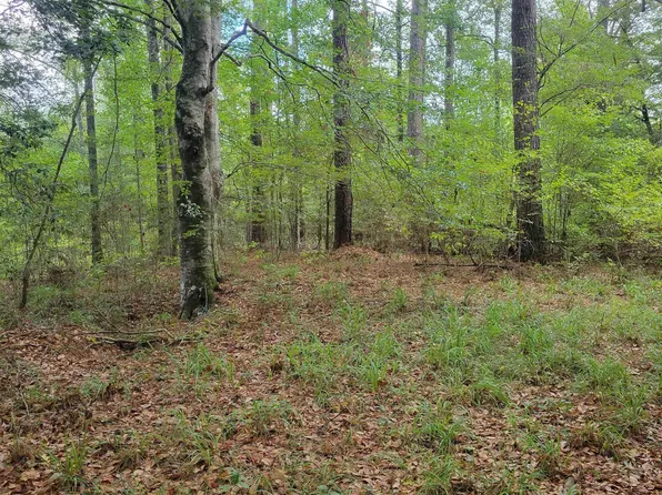 Tbd La Highway 967, Saint Francisvle, LA 70775