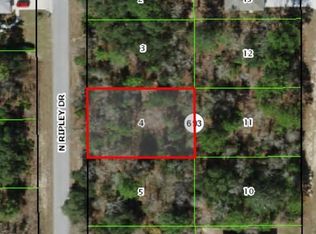 7209 N Ripley Dr, Citrus Springs, FL 34433