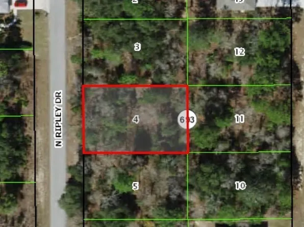 7209 N Ripley Dr, Citrus Springs, FL 34433