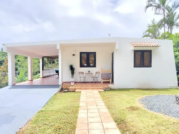 143 Ala De Pier, Orocovis, PR 00720