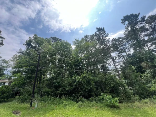 Ibex S 51 Lot 45-46, Onalaska, TX 77360