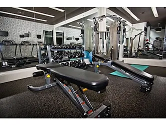 Rented by Fiddler Realty