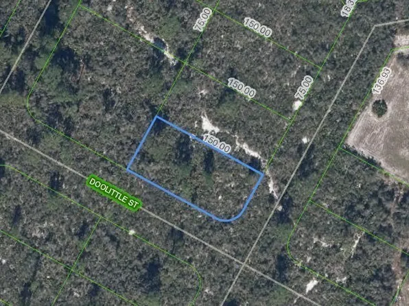 1424 Doolittle St, Lake Placid, FL 33852