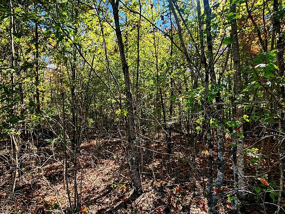 4th image of 0 Long Branch Rd #179B