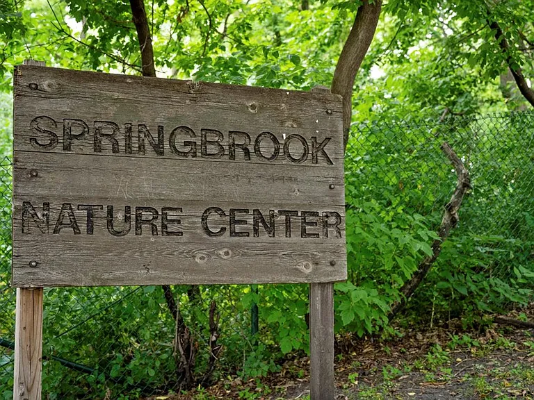 Springbrook — Photo 34