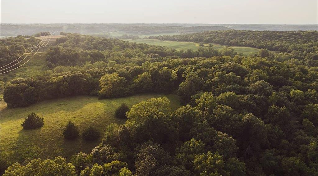 13389 403rd Rd, Amazonia, MO 64421 | Zillow