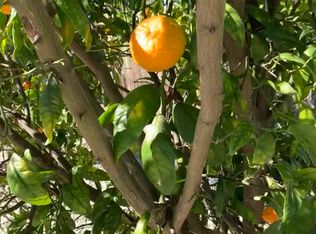 4201 Fair Ranch Rd, Union City, CA 94587