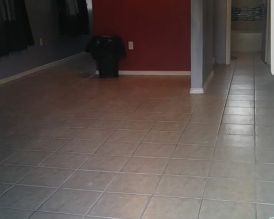 4th image of 6111 Pierce St #1-2