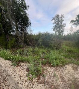 0 SW Nautilus Rd, Lake City, FL, 32024