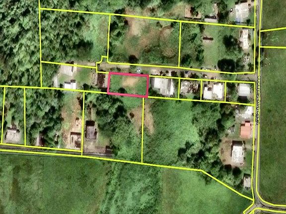 2nd image of Bo Dominguito Sector