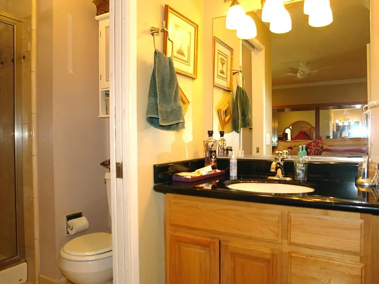 Master Bath and Vanity