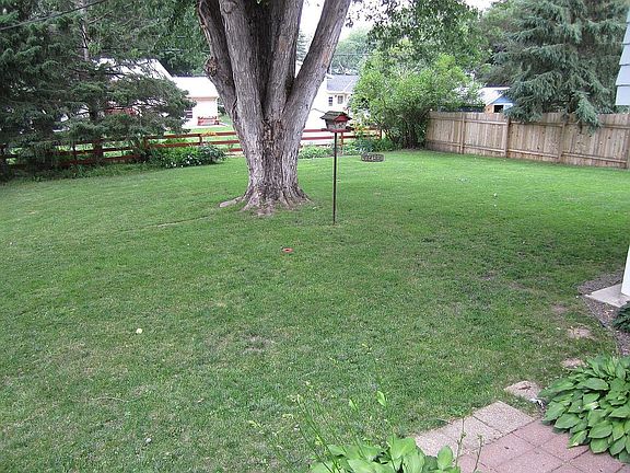 Backyard 1