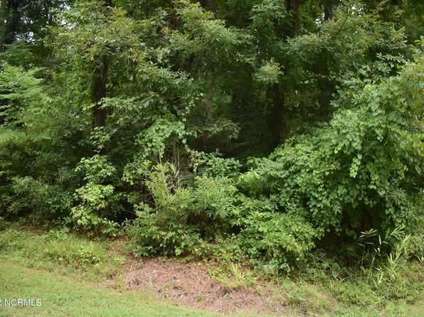 Lot 50 Cottonwood Drive, Blounts Creek, NC 27814