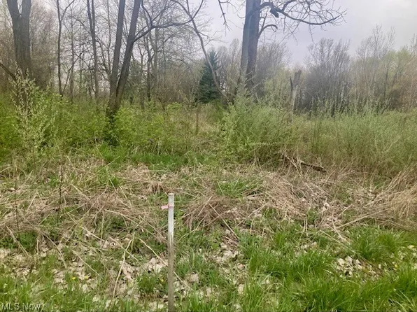 139 Hazel Dr, Ontario, OH 44906