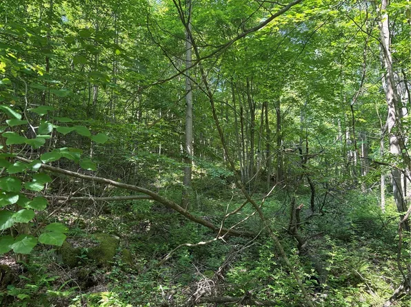 0 Fowl Hill Rd, Melcroft, PA 15462