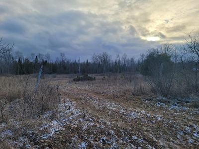 N Palmer Rd, Onaway, MI, 49765