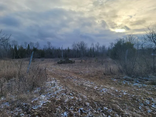N Palmer Rd, Onaway, MI 49765