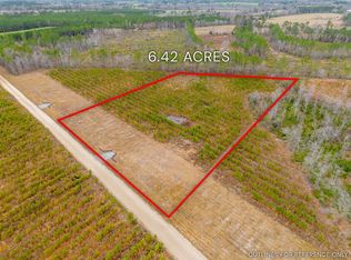 LOT 13 Bennett Grooms Rd, Brooklet, GA 30415