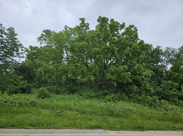 304 W Wachter Rd, Galena, IL 61036