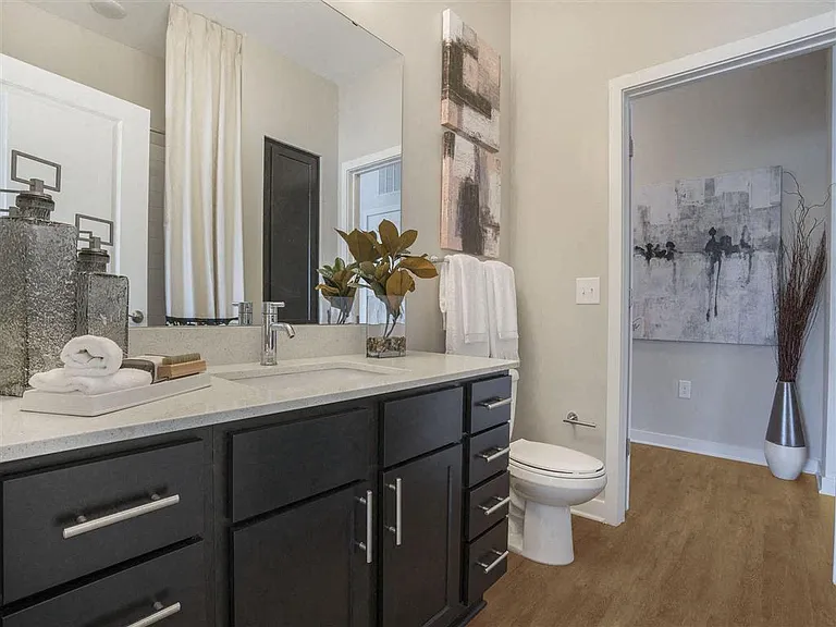 Pointe at Prosperity Village Apartments — Photo 46