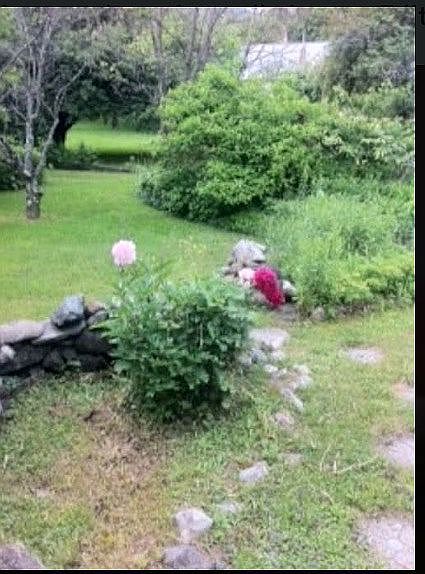 Side yard