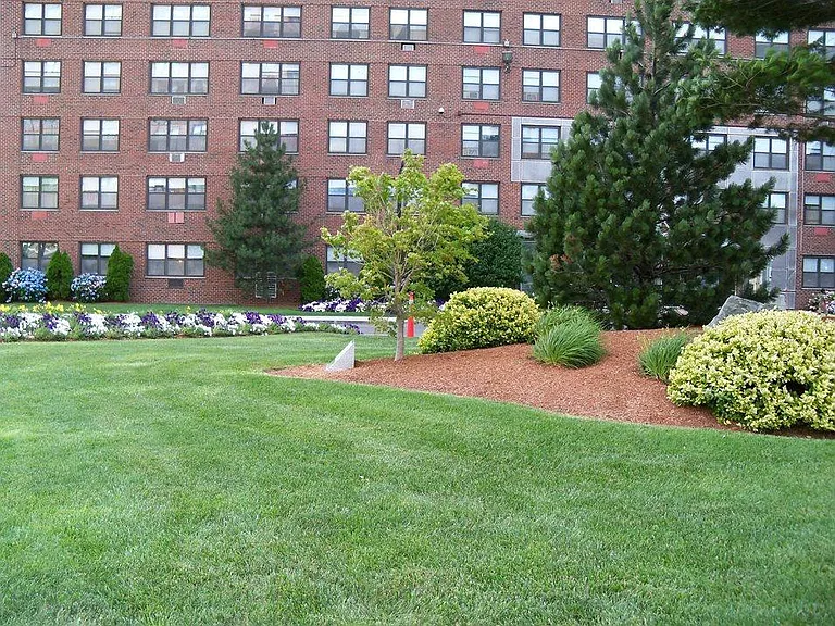 Fresh Pond Apartments — Photo 6