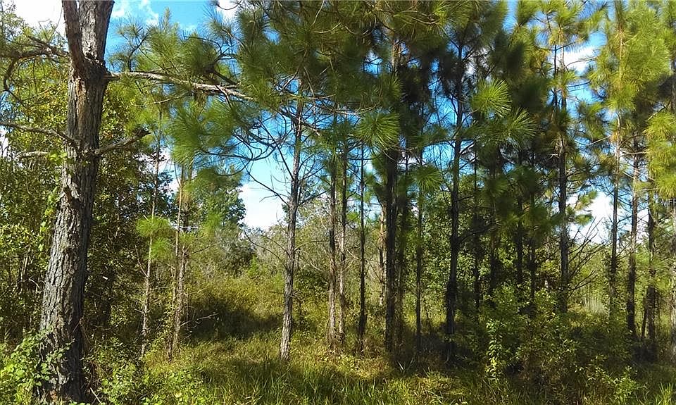 2nd image of Water Rd