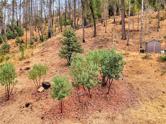 5th image of 11541 Anderson Springs Rd #6