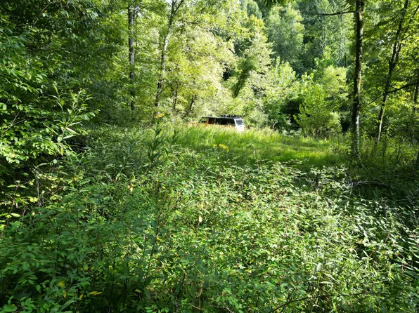 0 Big Pigeon Rd, Procious, WV 25164