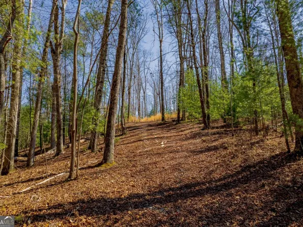 2564 Parnell Dr #2564, Ellijay, GA 30540
