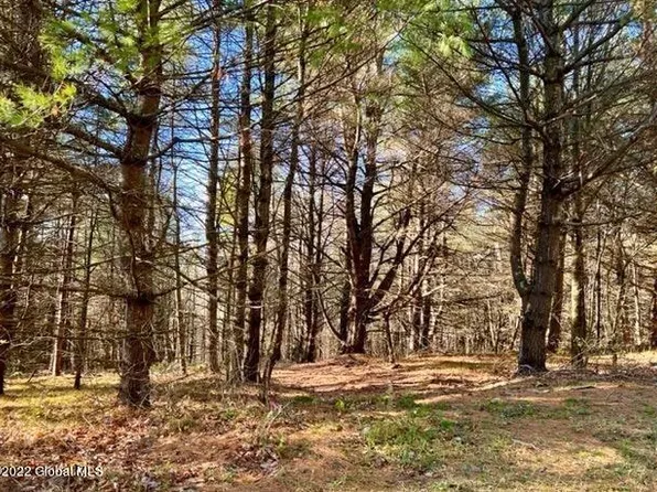 L66 Old Ghost Road Lot 5, New Lebanon, NY 12125