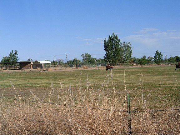 Fenced Pasture