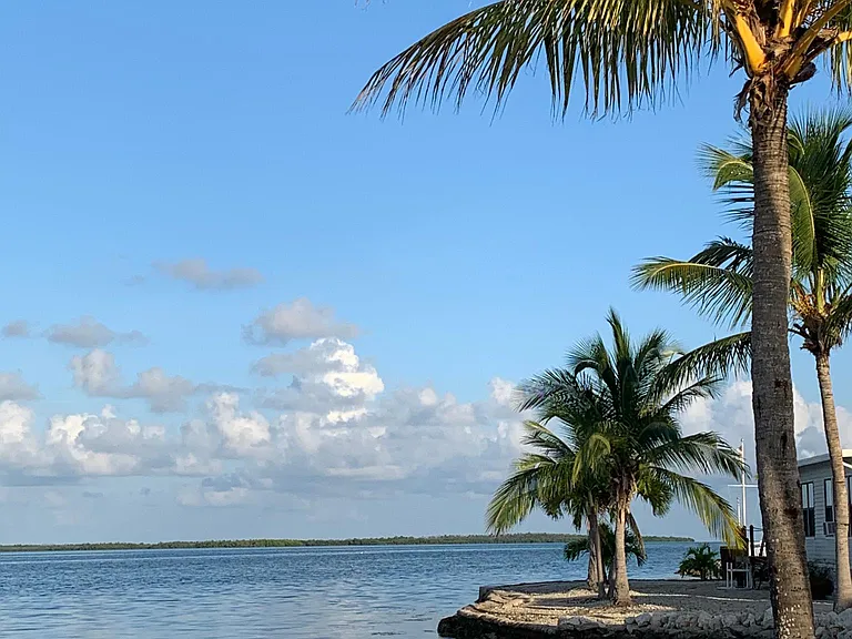 55 Boca Chica Rd #105 — Photo 41
