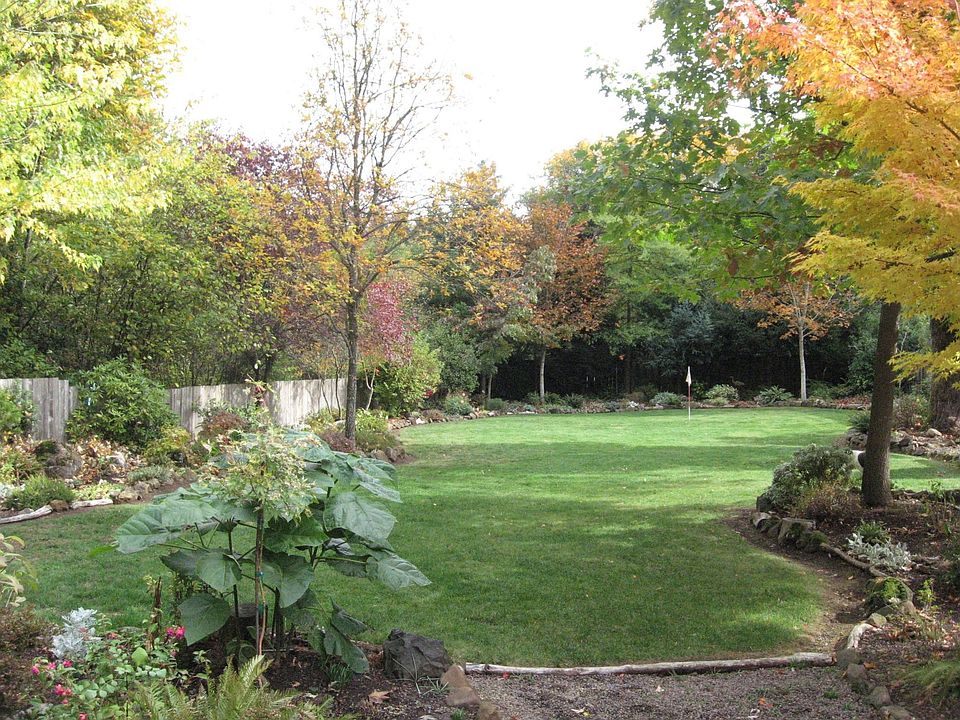 backyard view from family rm.