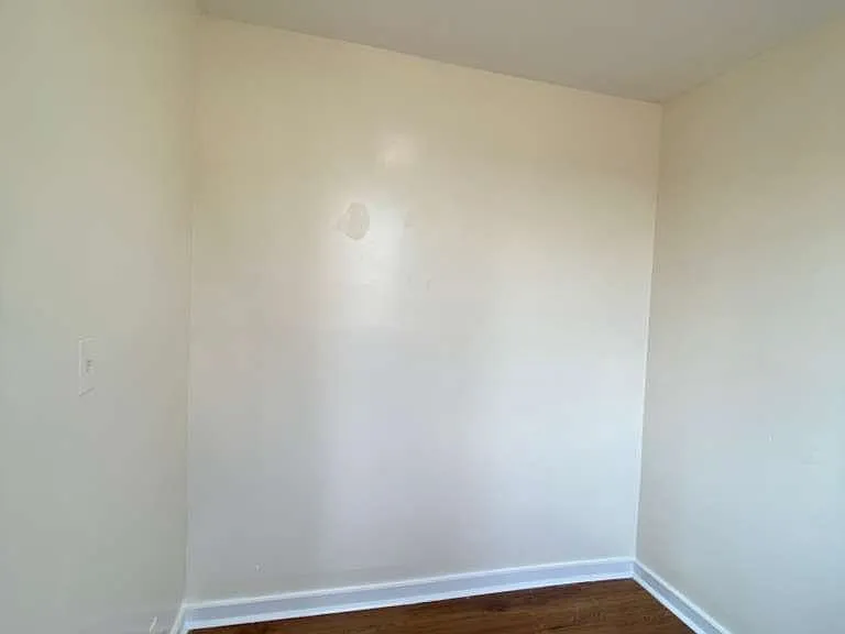117 Ludlow St #2W — Photo 12