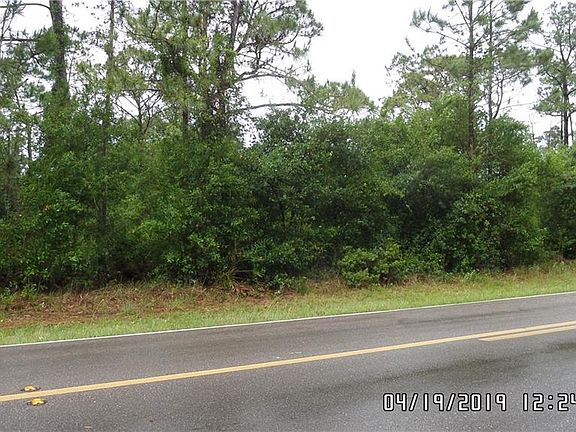 3rd image of 1251 Orlando Blvd