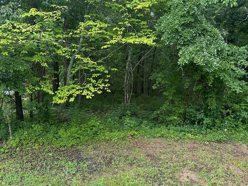 2nd image of Timothy Dr