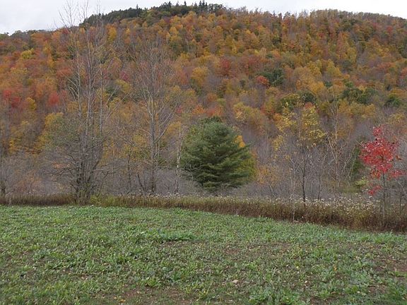 2nd image of Gregory Hollow Rd #1